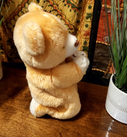 Vintage "Hope" The  Beanie Baby Praying Bear Plush Ty Beanie Buddie 1999 - Picture 3 of 7